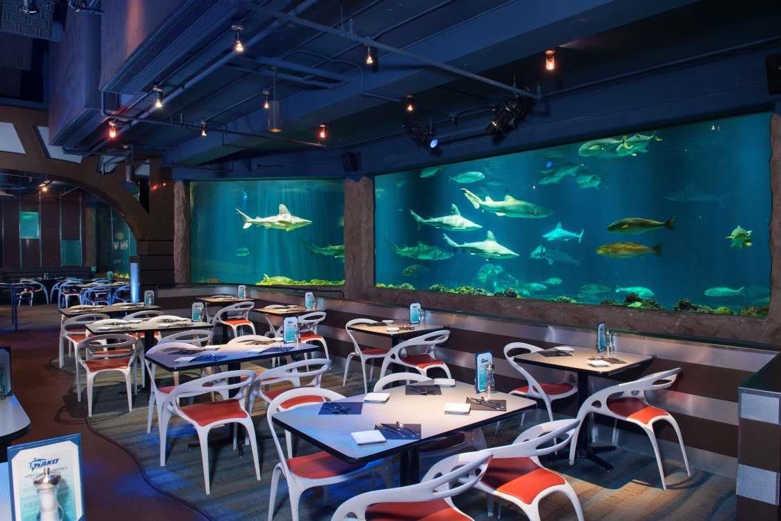 Nhung nha hang duoi nuoc tren the gioi anh 8