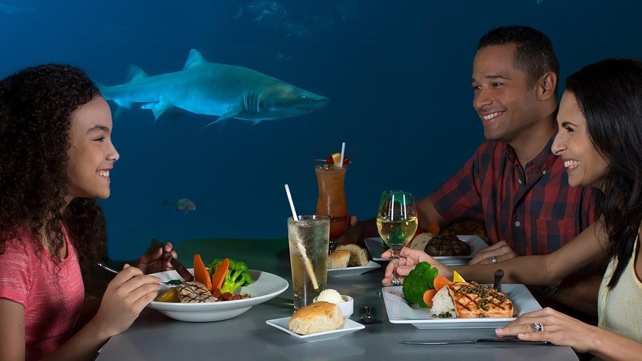 Nhung nha hang duoi nuoc tren the gioi anh 9