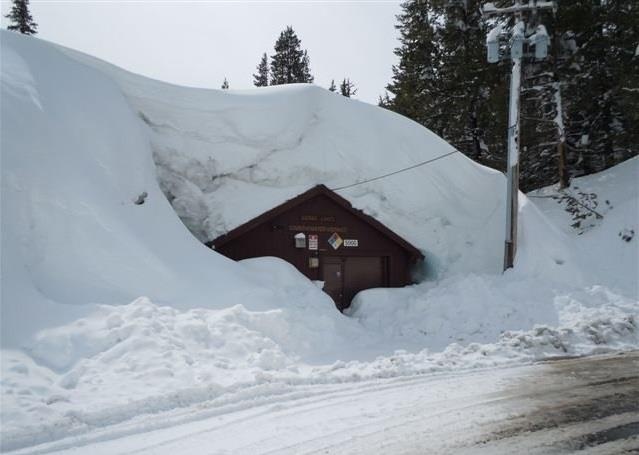 Tuyet roi nhieu bat thuong, bao phu California hinh anh