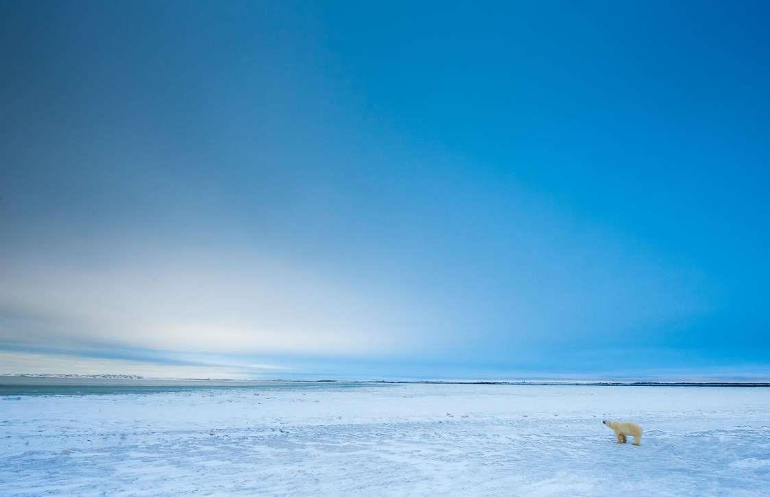 Nhung dia diem tham quan dong vat anh 13