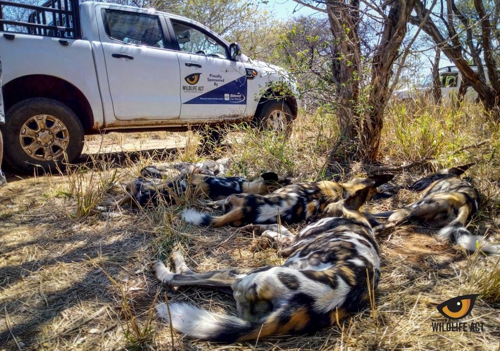 Nhung dia diem tham quan dong vat anh 5