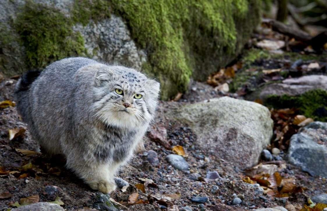 Nhung dia diem tham quan dong vat anh 3