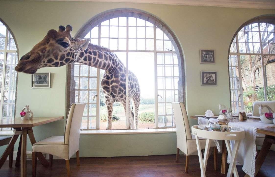 Nhung dia diem tham quan dong vat anh 6