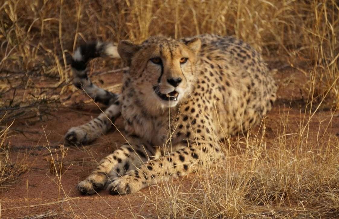 Nhung dia diem tham quan dong vat anh 10