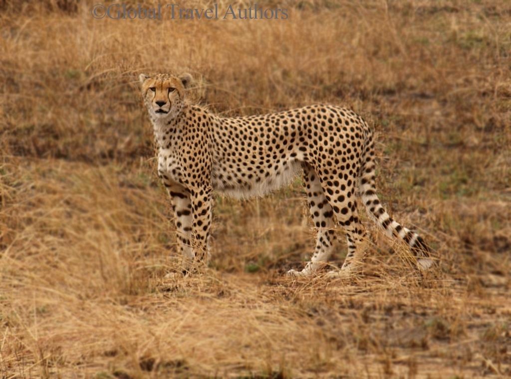 Nhung dia diem tham quan dong vat anh 11