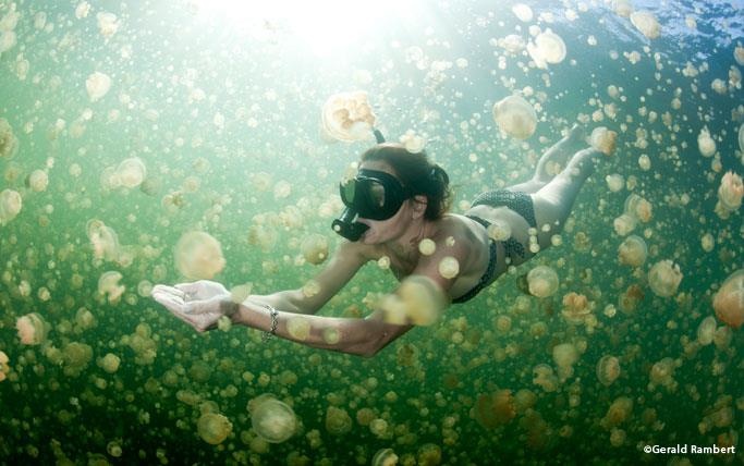 Boi cung hang trieu con sua quy hiem o Palau hinh anh