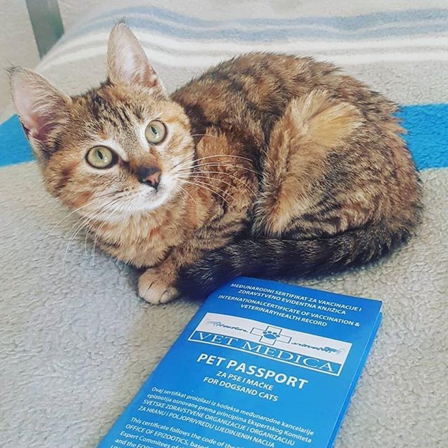 Dap xe vong quanh the gioi cung meo cung anh 9