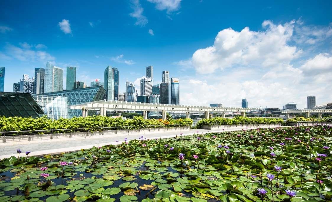 Dia diem don mua xuan o chau A anh 10