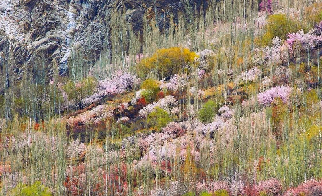 Dia diem don mua xuan o chau A anh 11