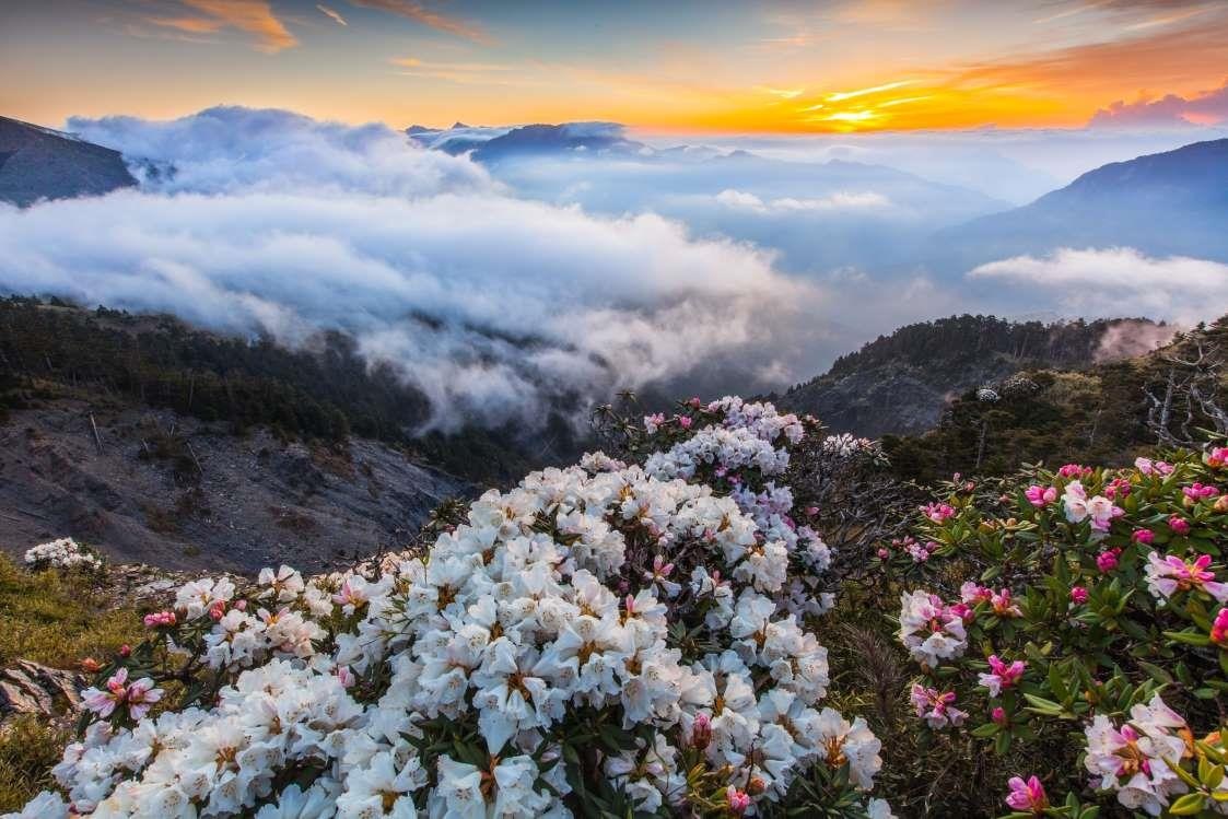 Dia diem don mua xuan o chau A anh 6