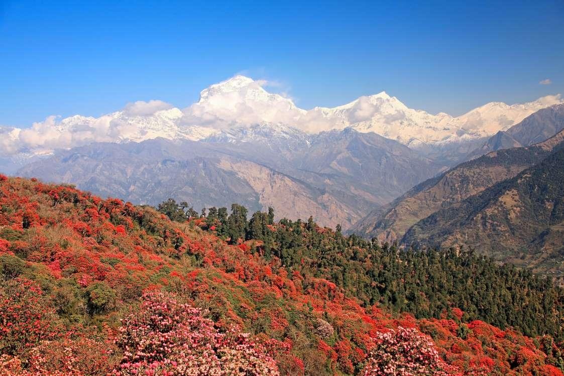 Dia diem don mua xuan o chau A anh 9