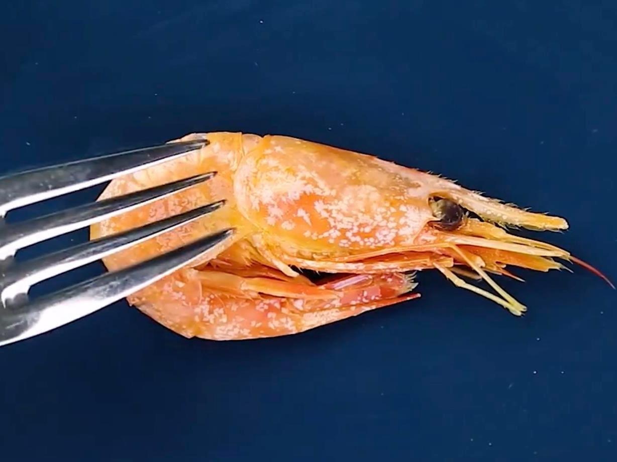 Boc tom bang nia va cac meo giup ban tro tai trong bep hinh anh