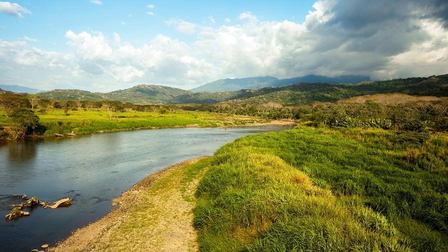 Cay cau ca sau o Costa Rica anh 1