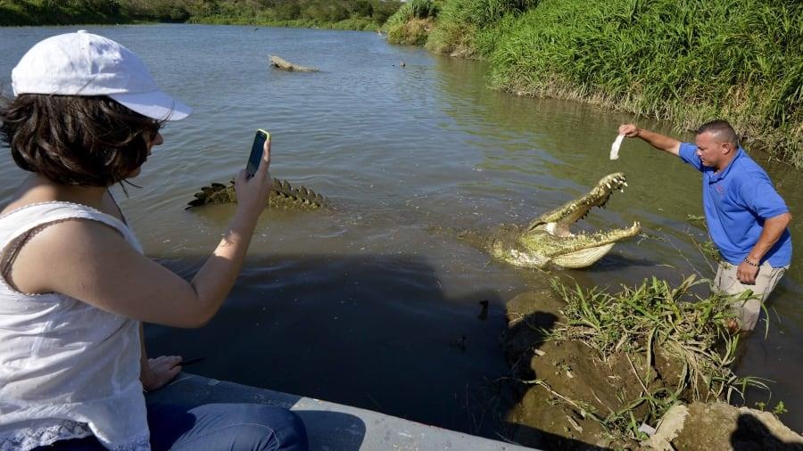 Cay cau ca sau o Costa Rica anh 8