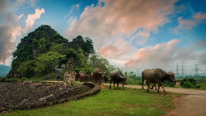 Du lich Ninh Binh anh 14