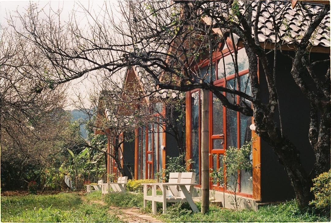 Homestay Moc Chau anh 6