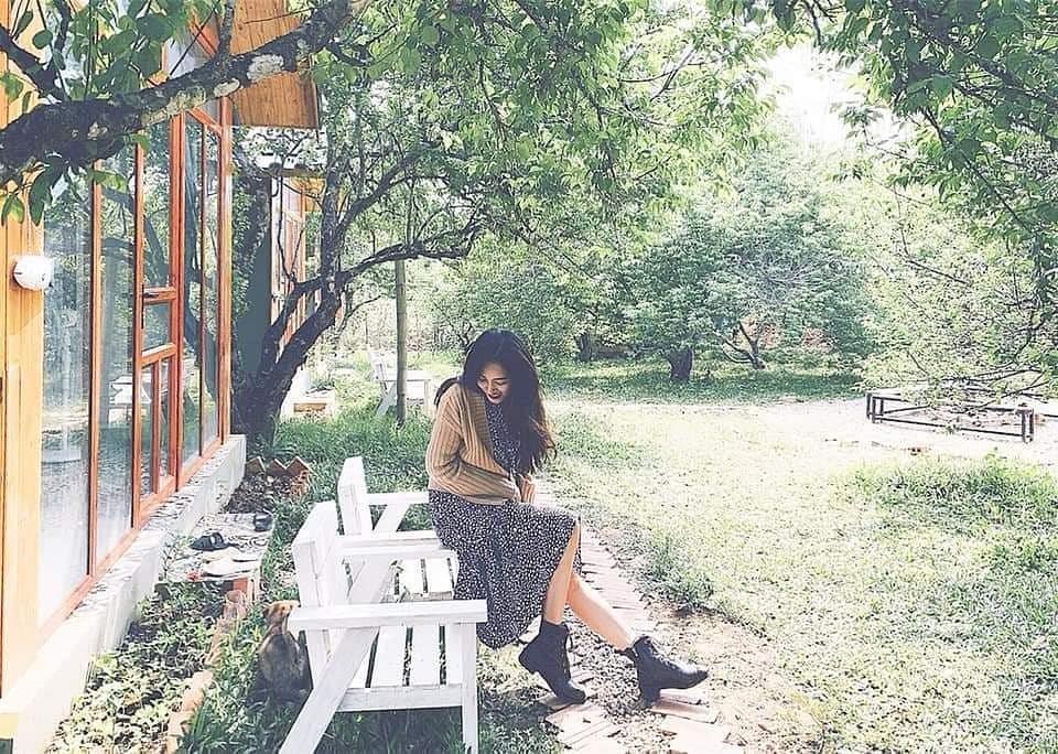 Homestay Moc Chau anh 11