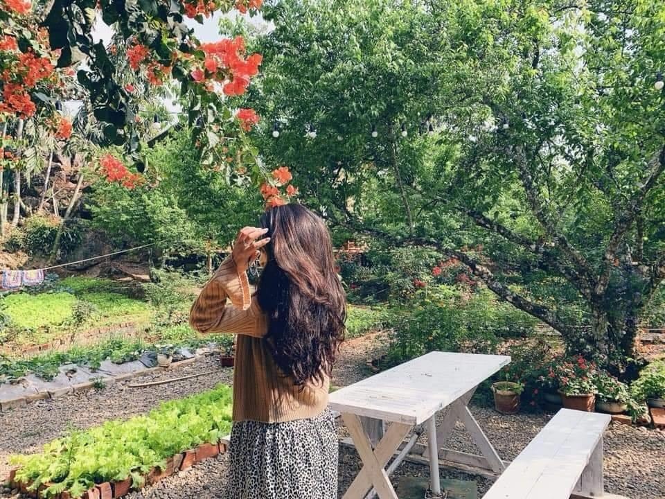 Homestay Moc Chau anh 12