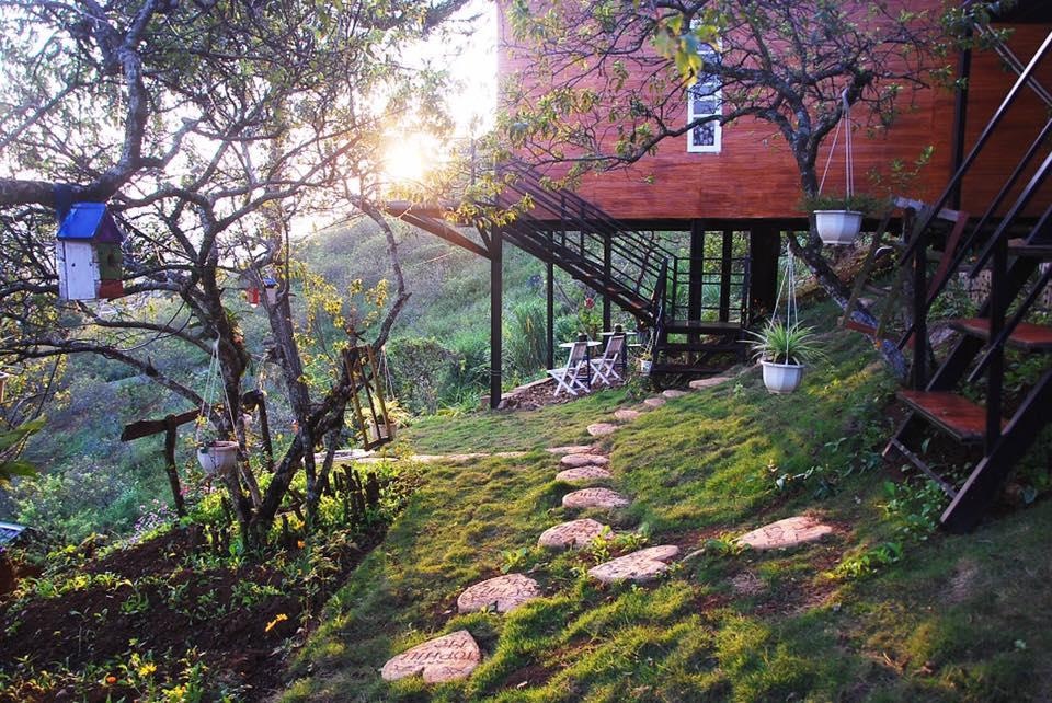 Homestay Moc Chau anh 30