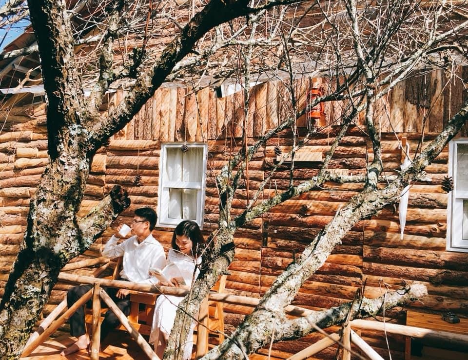 Homestay Moc Chau anh 17