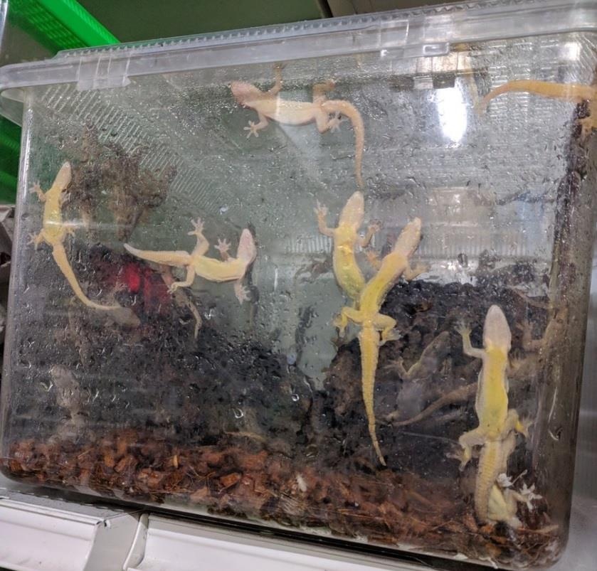 Quan bar bo sat anh 11