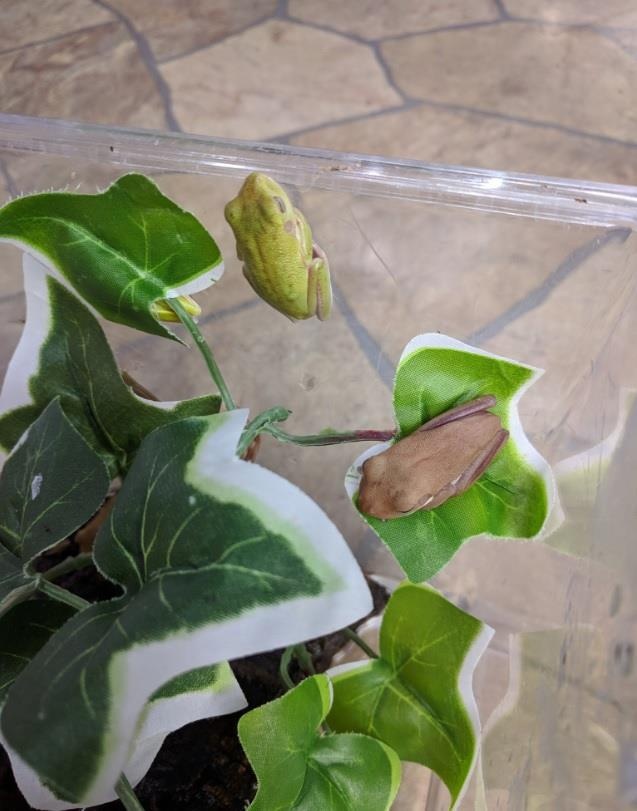 Quan bar bo sat anh 12