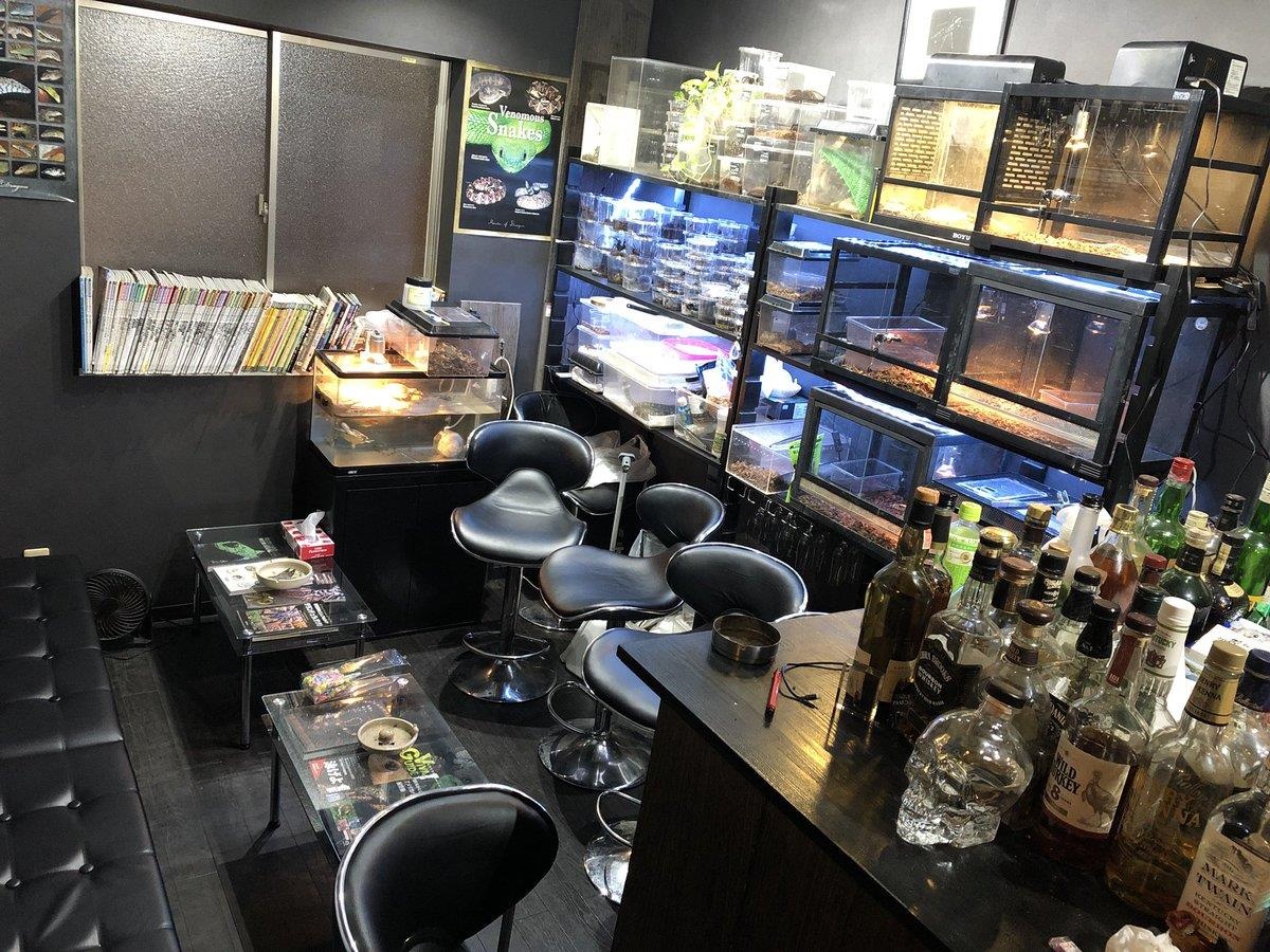 Quan bar bo sat anh 6