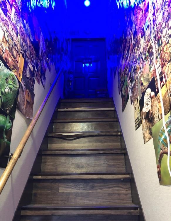 Quan bar bo sat anh 4