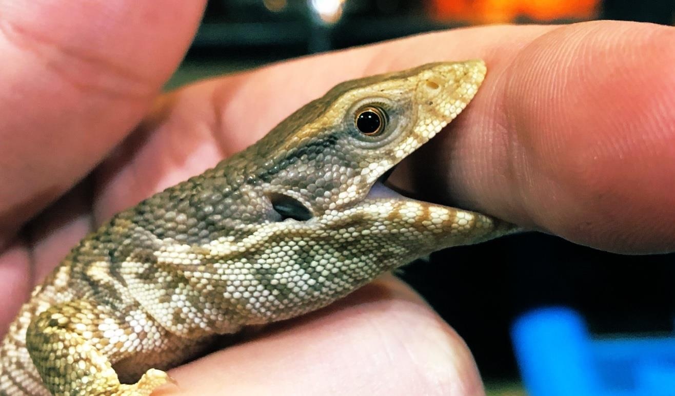 Quan bar bo sat anh 5