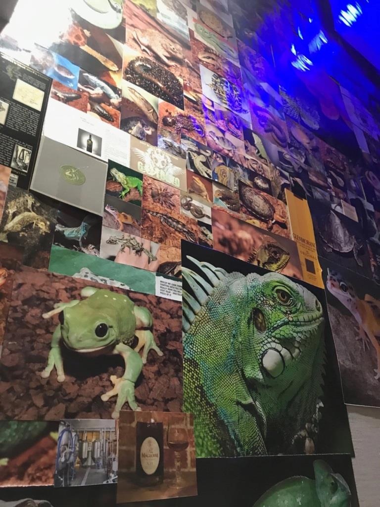 Quan bar bo sat anh 7