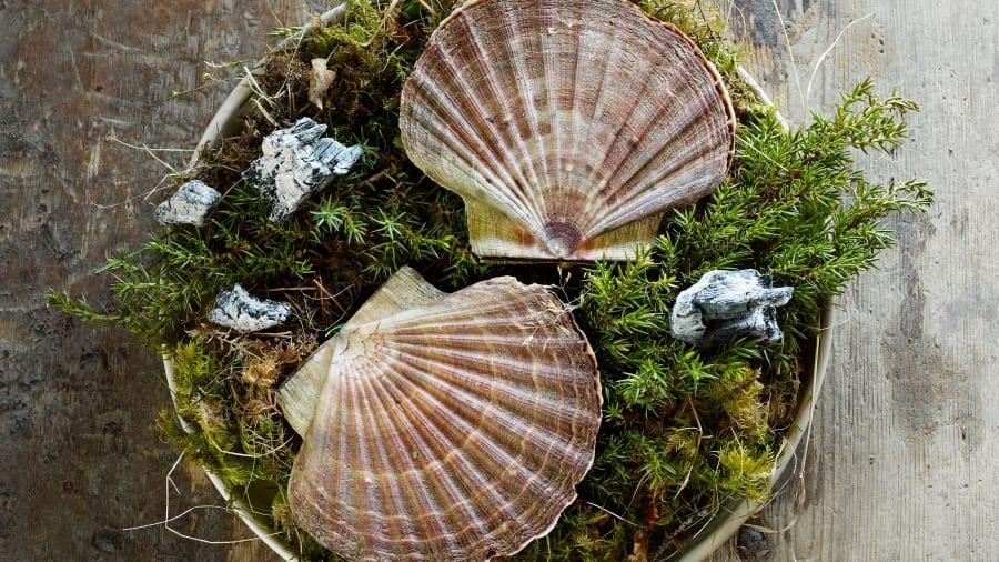 Dau bep dong cua nha hang Michelin anh 3