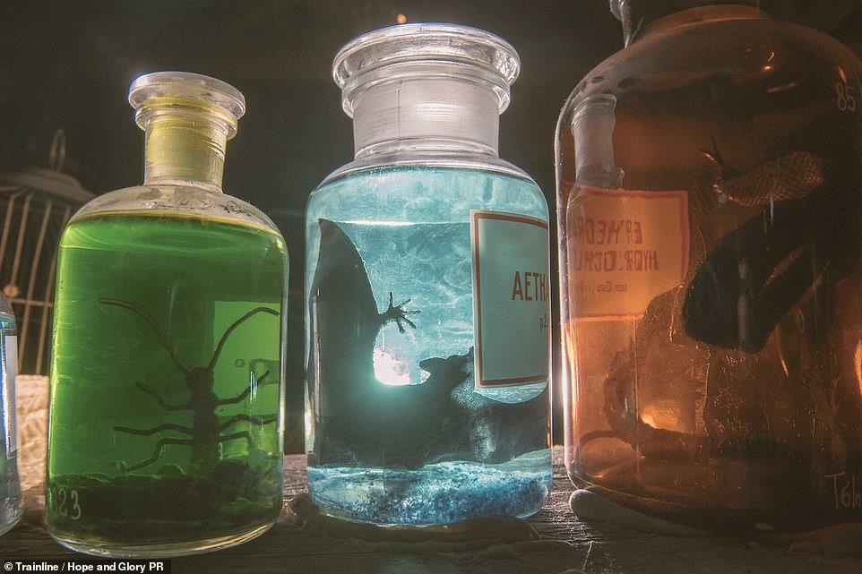 Diem du lich ki di o chau Au anh 8