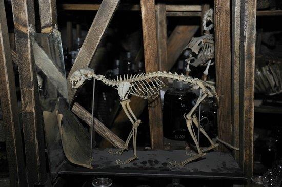 11 diem du lich lap di nhung van hut khach o chau Au hinh anh