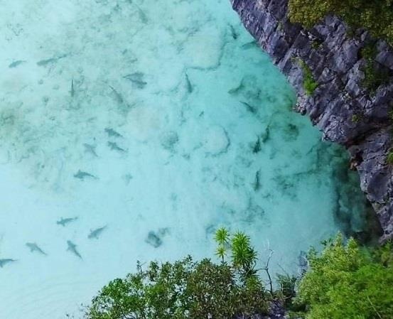 Bai bien Thai Lan dong cua anh 11