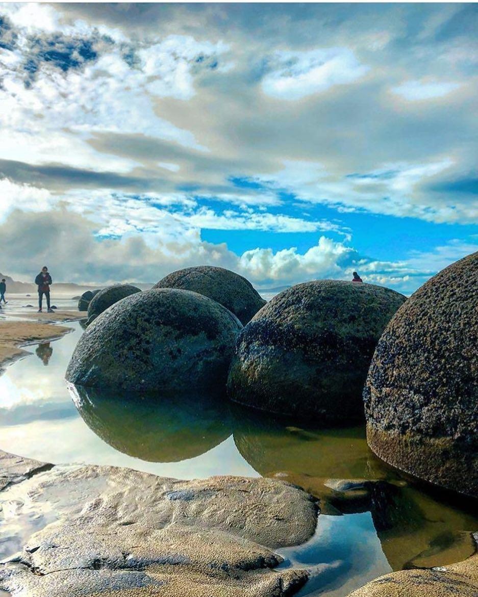 bãi biển trứng rồng ở New Zealand ảnh 5 bai bien trung rong o New Zealand anh 5