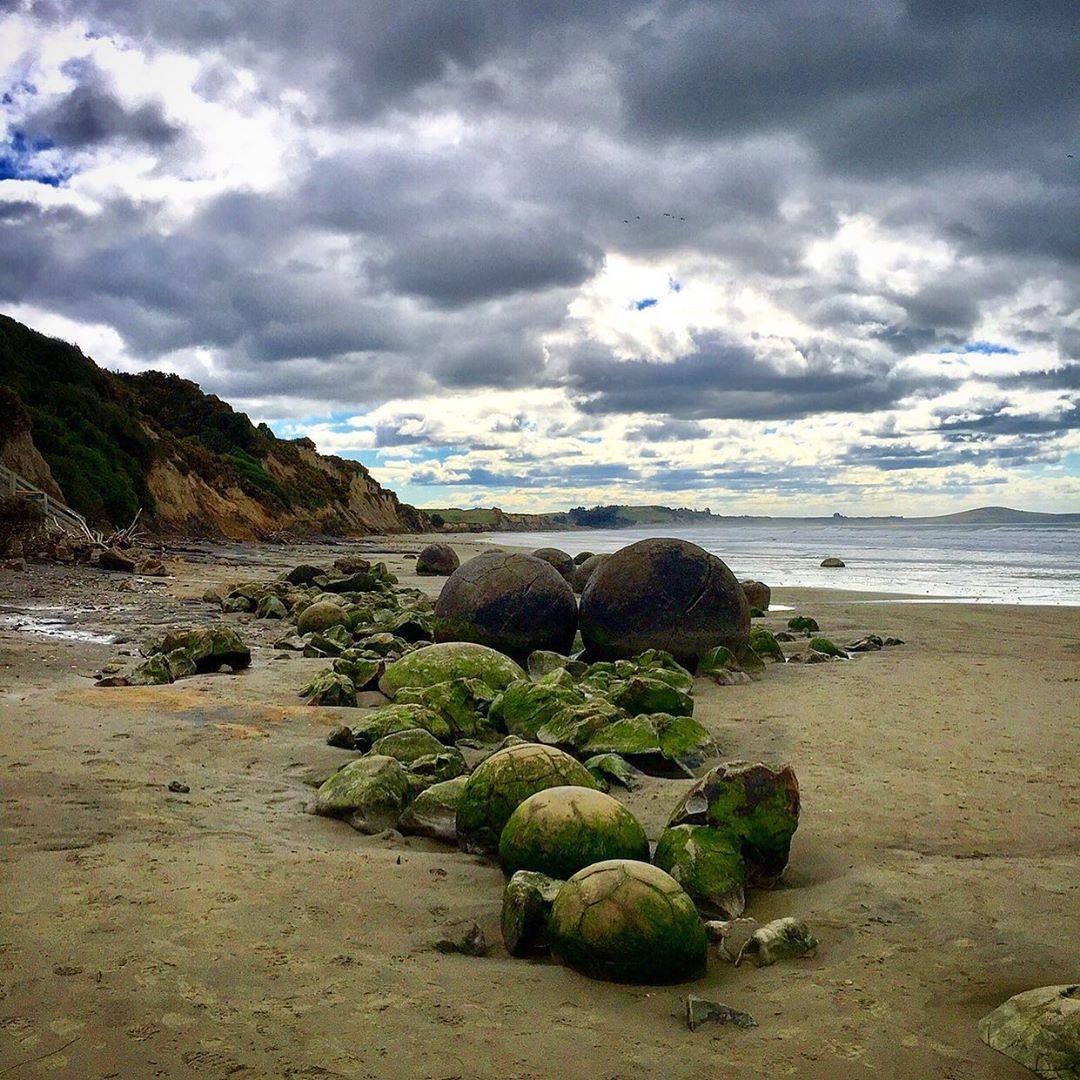 bãi biển trứng rồng ở New Zealand ảnh 7 bai bien trung rong o New Zealand anh 7