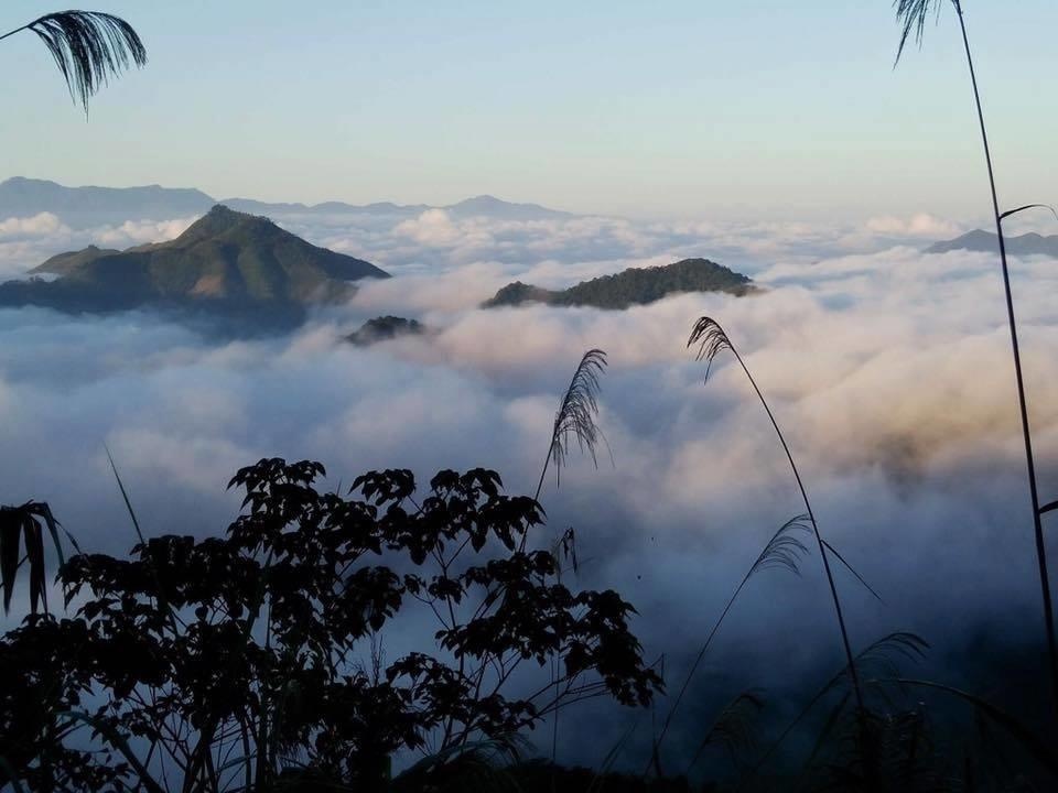 toa do song ao tai Nghe An anh 20