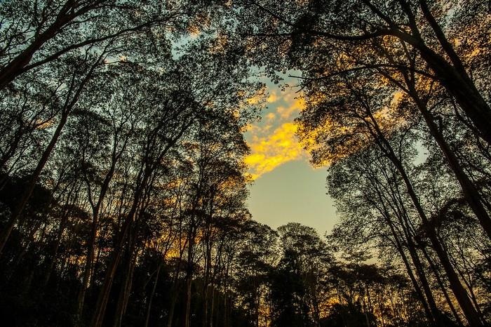 toa do song ao tai Nghe An anh 1