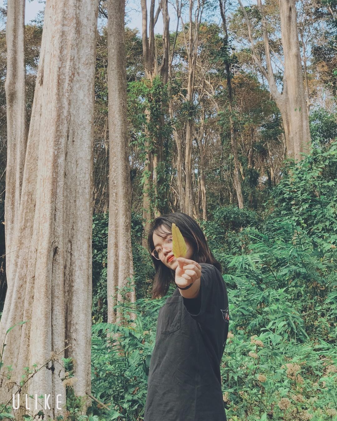 toa do song ao tai Nghe An anh 2