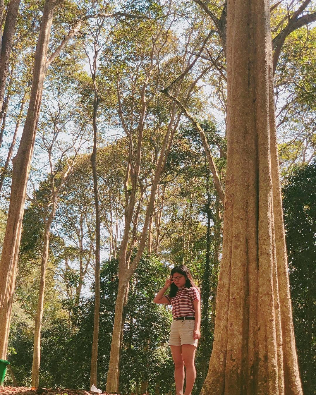 toa do song ao tai Nghe An anh 3