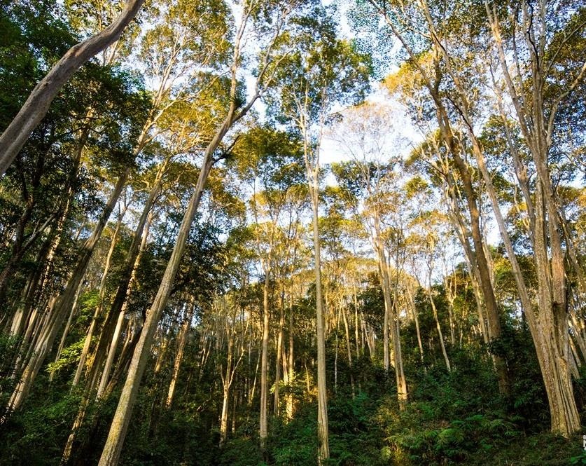 toa do song ao tai Nghe An anh 4