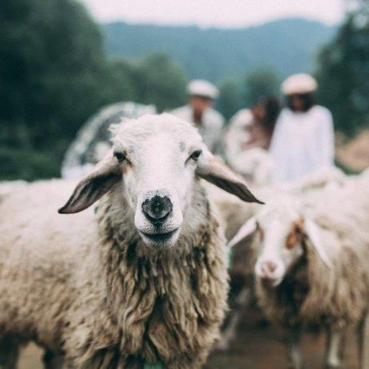 toa do song ao tai Nghe An anh 16