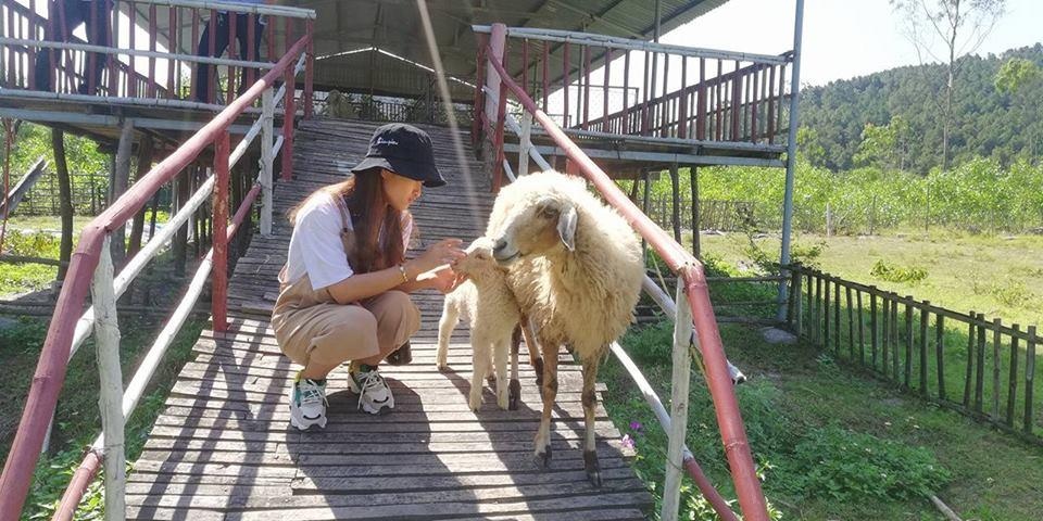 toa do song ao tai Nghe An anh 17