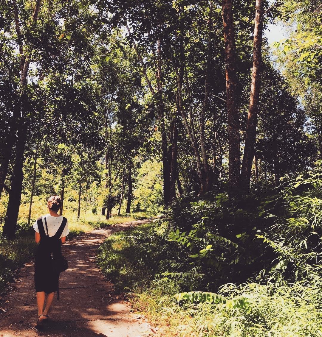 toa do song ao tai Nghe An anh 8