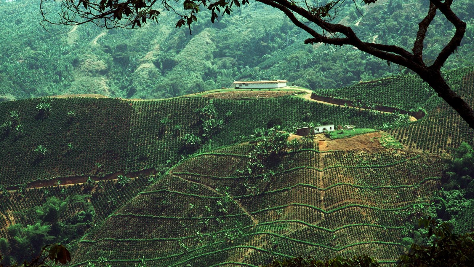 dia diem am uot nhat the gioi anh 11