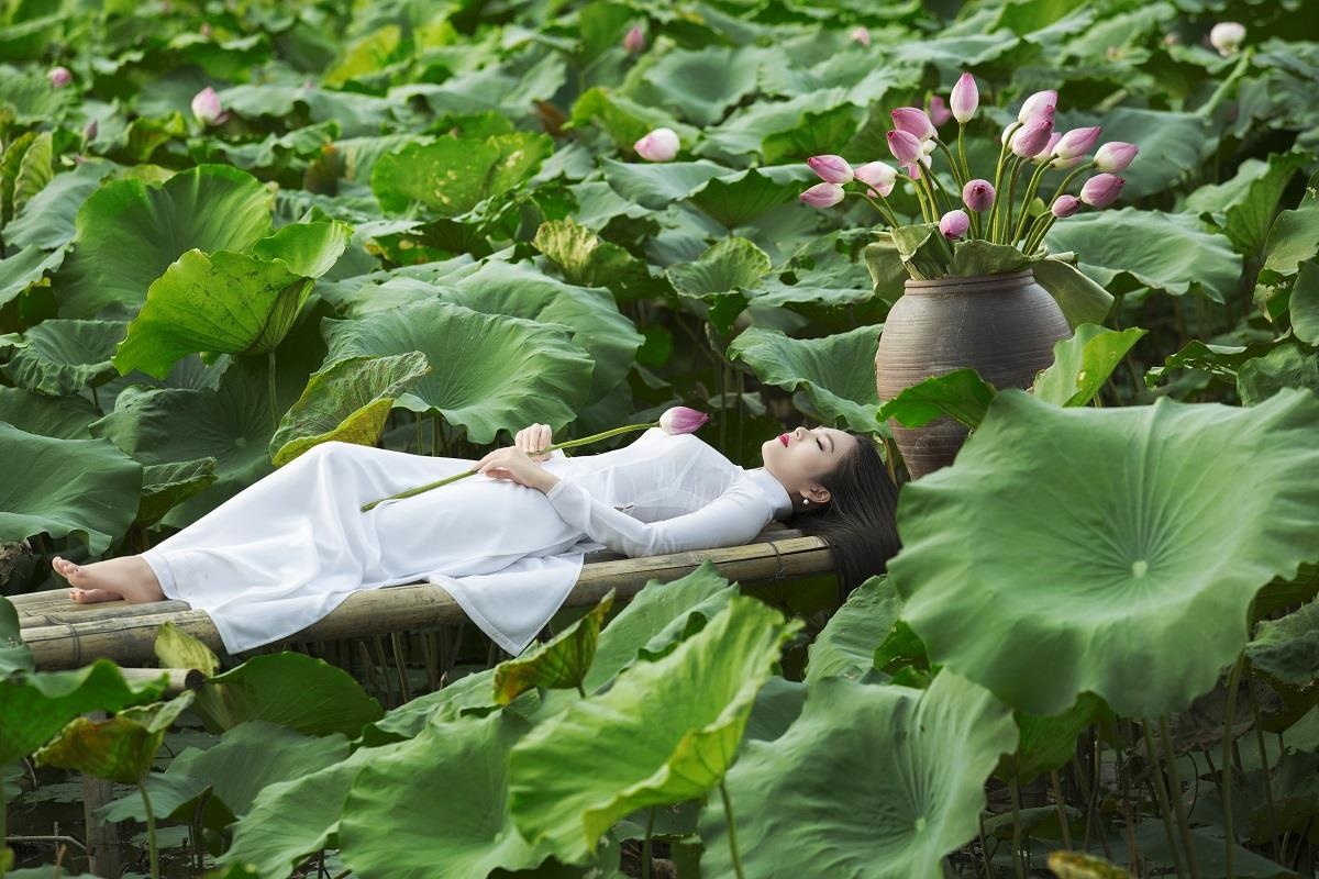 5 dia diem chup sen Ha Noi anh 3