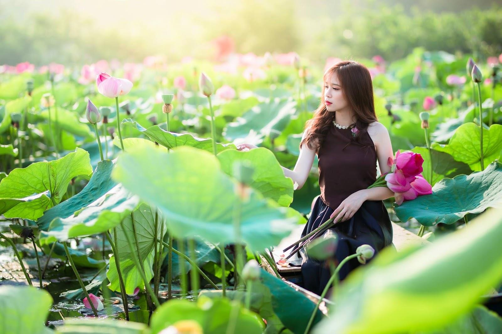 5 dia diem chup sen Ha Noi anh 6