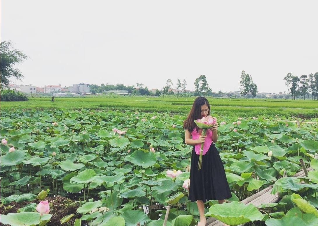 5 dia diem chup sen Ha Noi anh 7