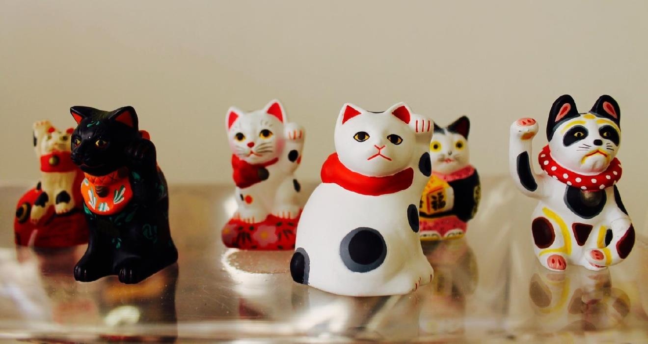 Bao tang meo may man Ohio anh 2