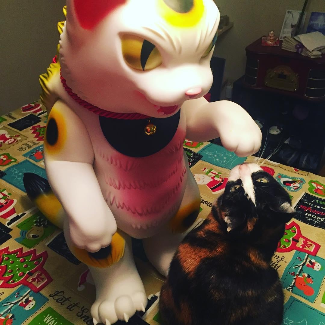 Bao tang meo may man Ohio anh 6